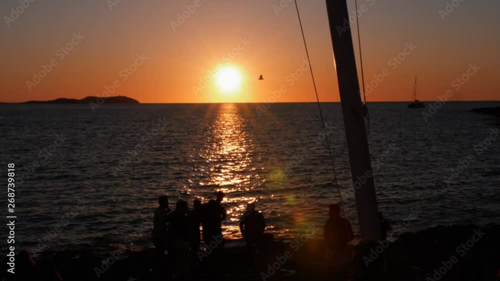 Sunset slomo with bird flying into the sun. Mambo beach ibiza Sunset slomo with bird flying into the sun. Mambo beach ibiza