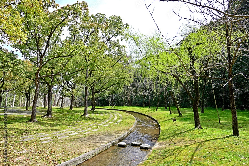 新緑に囲まれた春の公園の情景