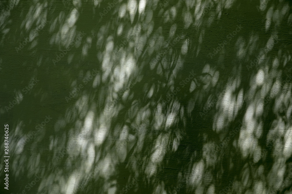 shadow of leaves on the concrete for background