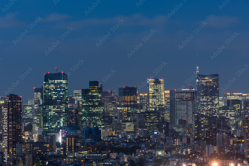 高層ビルから望む東京の夜景