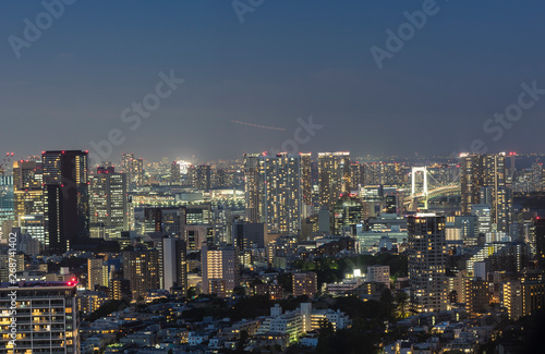 高層ビルから望む東京の夜景 © EISAKU SHIRAYAMA