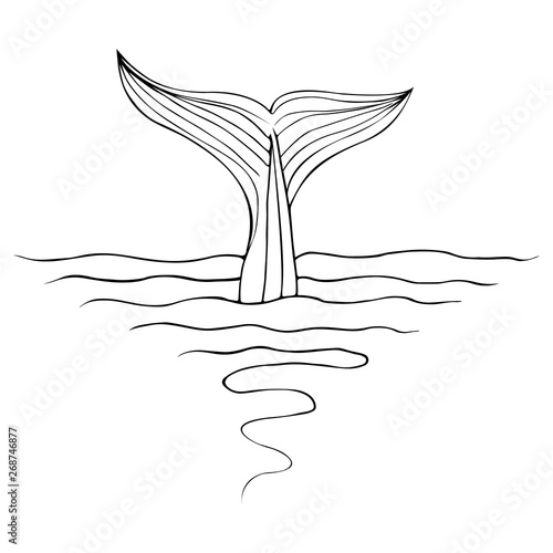 Abstract hand drawn whale tail isolated on white background. Vector illustration. Line art. Sketch