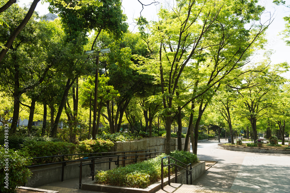 朝の東遊園地