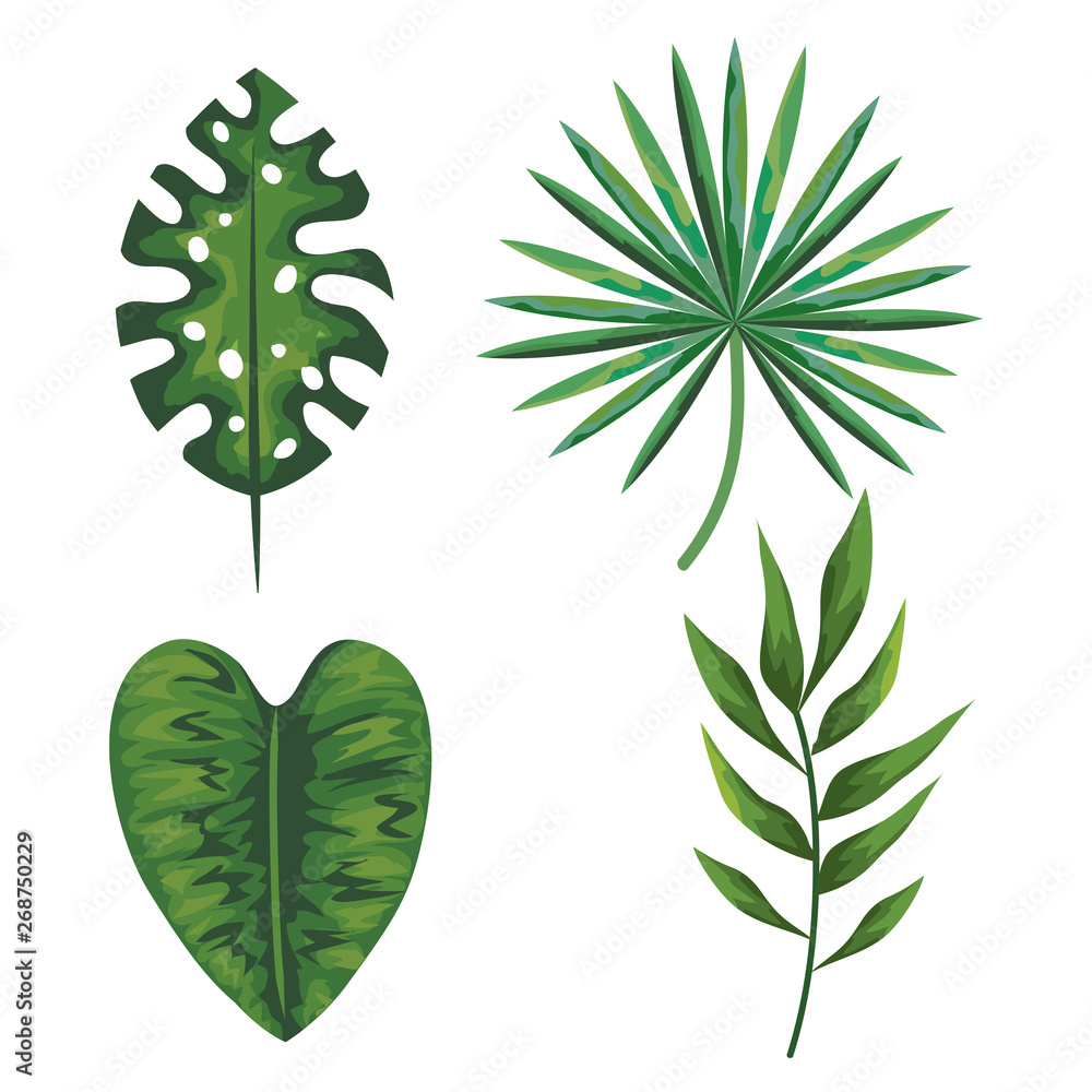 set of tropical leaves plants over white background
