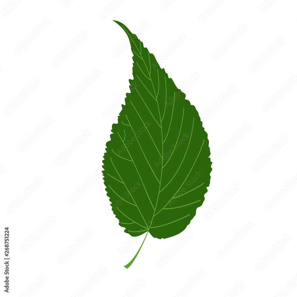 Leave vector icon Leave vector icon