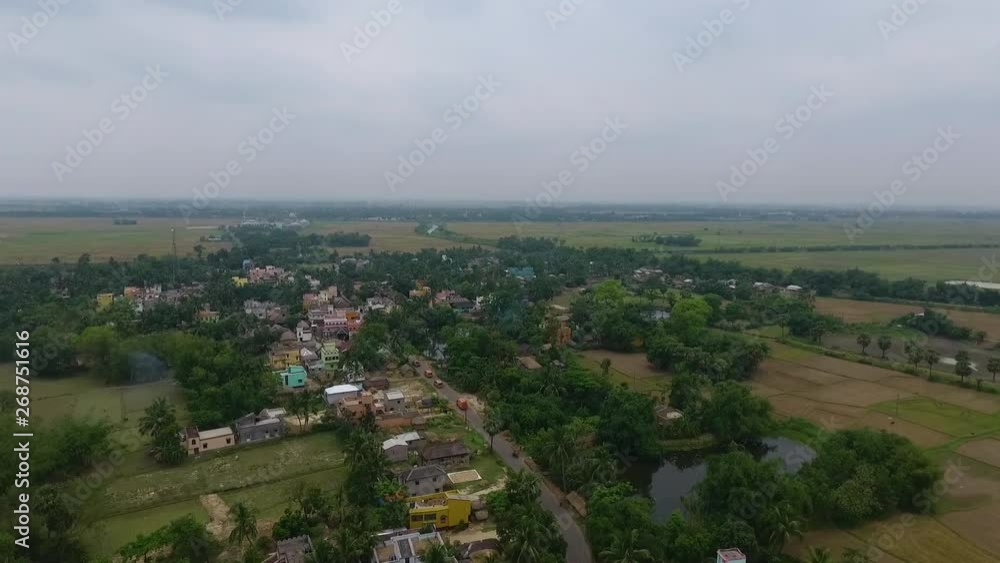 A dolly, aerial view of many green trees and a pond during the day. A dolly, aerial view of many green trees and a pond during the day.