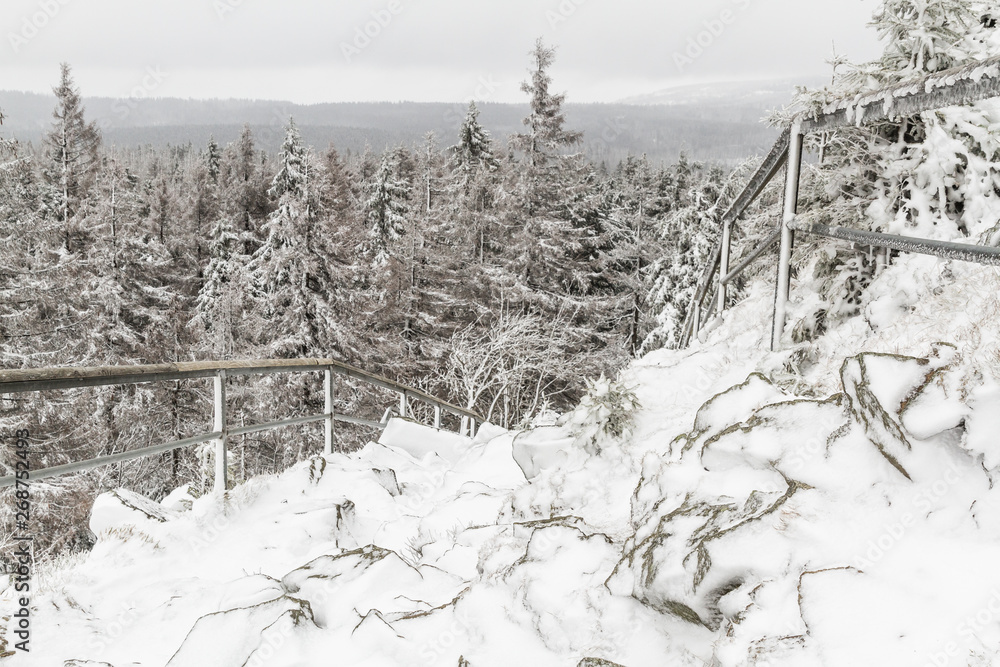Obraz premium Nationalpark Harz der Oderteich im Winter