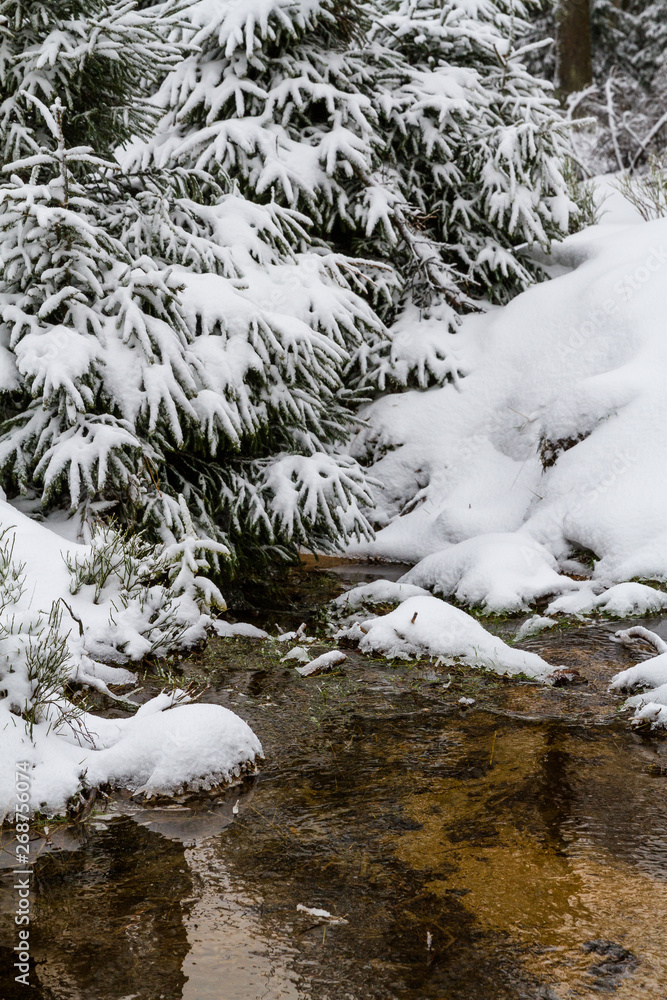 Obraz premium Nationalpark Harz der Oderteich im Winter