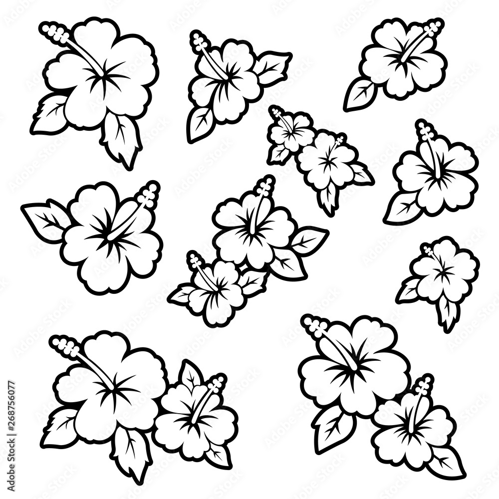 Hibiscus flower material illustration Stock Vector | Adobe Stock