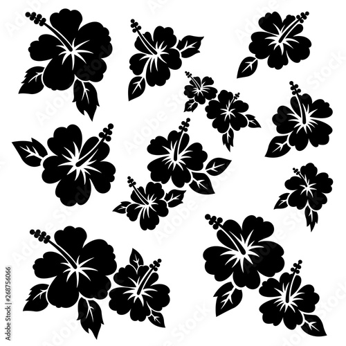 Hibiscus flower material illustration
