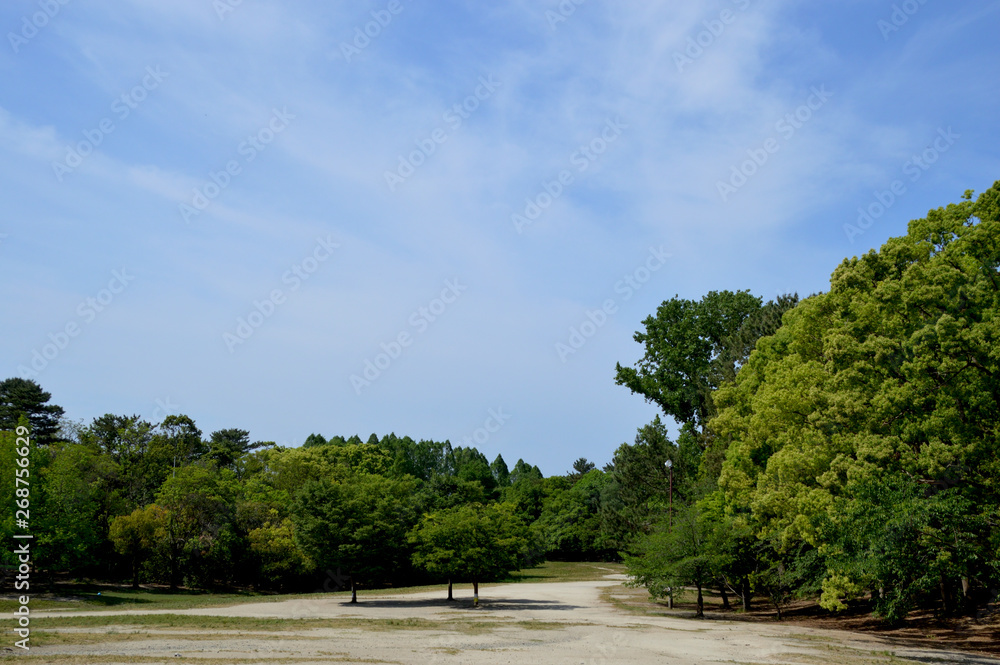 青空の下、広場の中央や周囲にある木々が陽射しを浴びて木陰をつくっている公園の風景