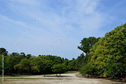 青空の下、広場の中央や周囲にある木々が陽射しを浴びて木陰をつくっている公園の風景
