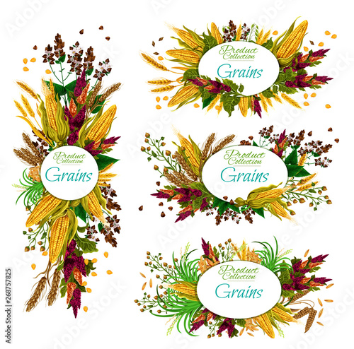Grain cereals, food crops wheat, rya and corn