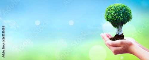 World Environment Day concept: Human hands holding big tree over blue sky background