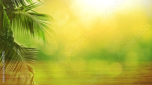 Blur beautiful nature green palm leaf on tropical with bokeh sun light abstract background. Copy space of summer vacation and business travel concept. Vintage tone filter effect color style