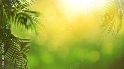 Blur beautiful nature green palm leaf on tropical beach with bokeh sun light abstract background. Copy space of summer vacation and business travel concept. Vintage tone filter effect color style