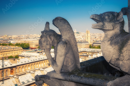 Gargoyle on Notre Dame Cathedral  Paris  France