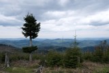 Beskid Zywiecki during spring - view of alone strange tree and mountains from hill near Zawoja
