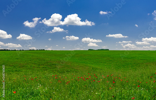 Panoramic view to green field with clouds in the blue sky
