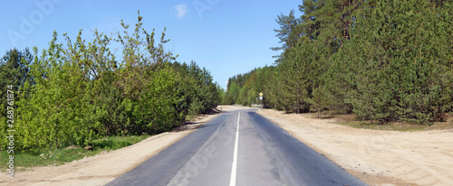 New asphalt highway in the pine forest near the city