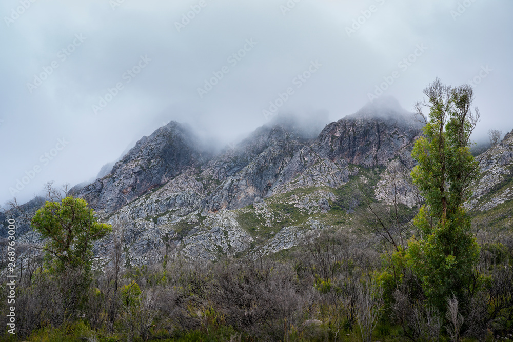 The Sentinels mountain range on the Gordon River Road in Tasmania.