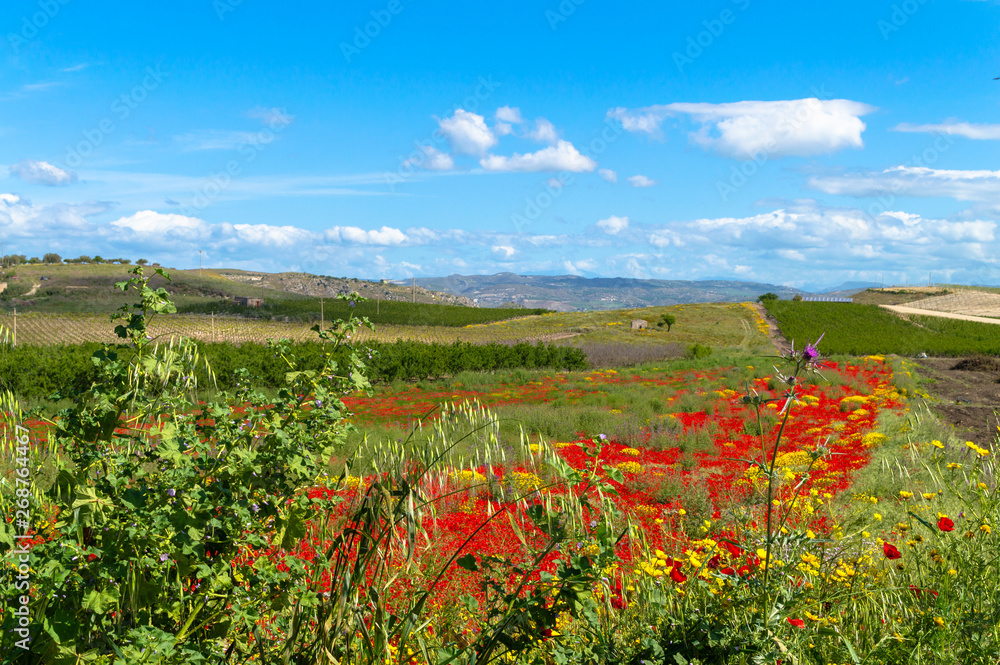 Beautiful Sicilian Landscape, Caltanissetta, Italy, Europe