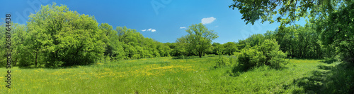 Panorama of a green meadow  a suburb of Novomoskovsk  Ukraine