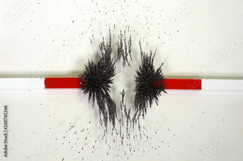 Photography The lines of forces around two magnets with counteracting magnetic fields shown with iron chips spread on a glass plate that rests on the magnet