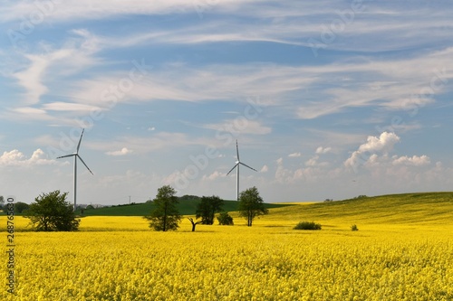Elektrownia wiatrowa na polu kwitnącego żółtego rzepaku na tle pięknych chmur kłębiastych