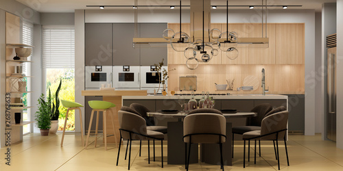 Modern kitchen interior with fytowall