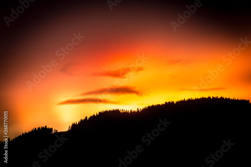 Fiery sunset with trees silhouette