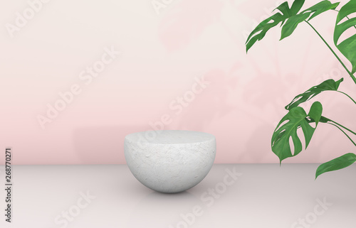 3d rendering. Natural beauty backdrop for cosmetic product display. fashion beauty with empty cement stone background.