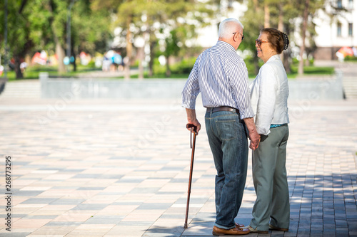 Senior adults walking in a park holding hands