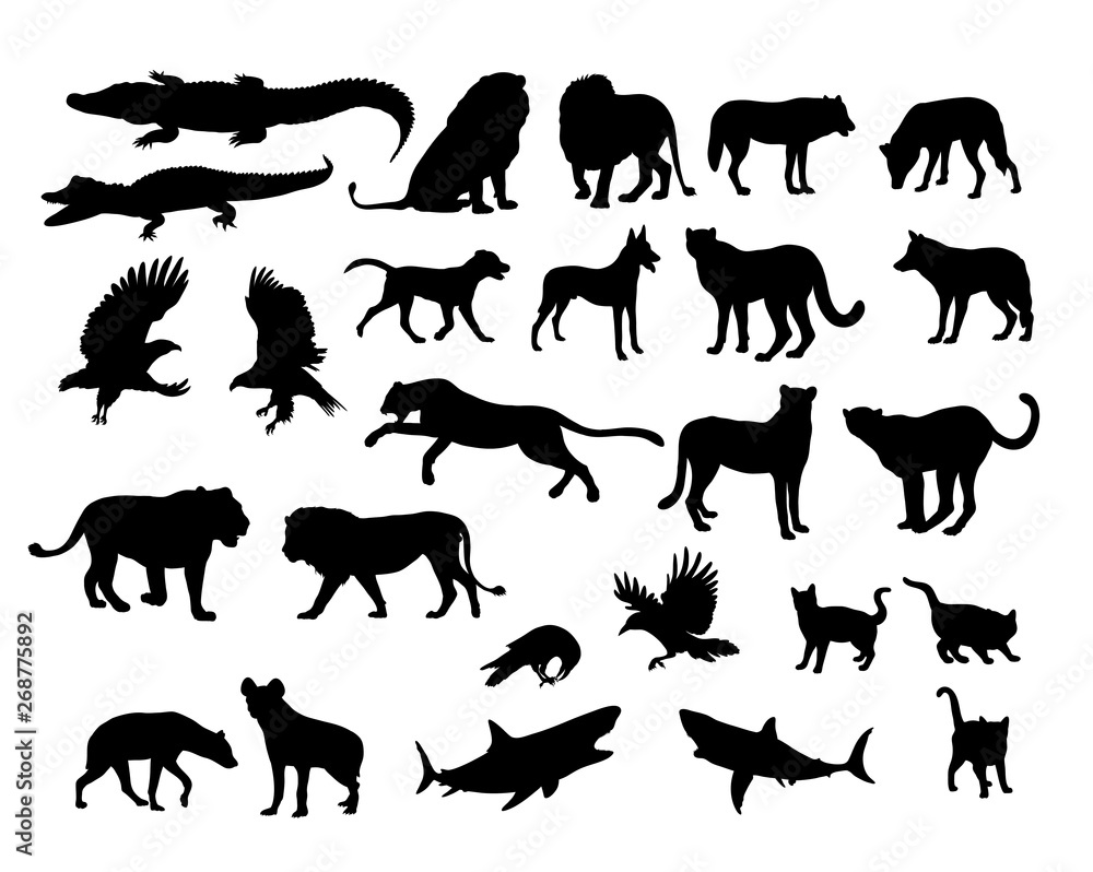 Carnivora Animal Silhouettes, art vector design