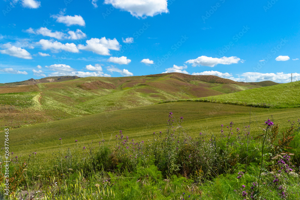 Green Sicilian Hills, Caltanissetta, Italy, Europe Green Sicilian Hills, Caltanissetta, Italy, Europe