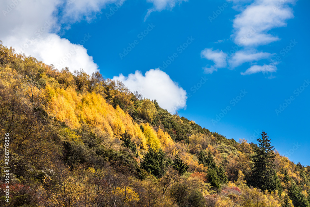 fall in mountain of China