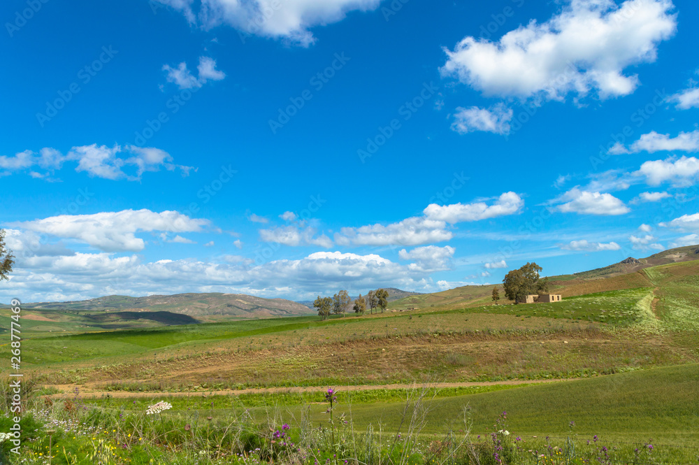 Fototapeta premium Green Sicilian Hills, Caltanissetta, Italy, Europe