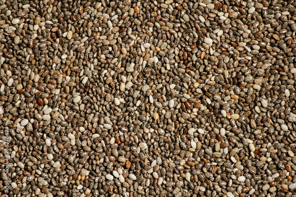 Chia seed texture. Solid pattern background. Chia seed texture. Solid pattern background.