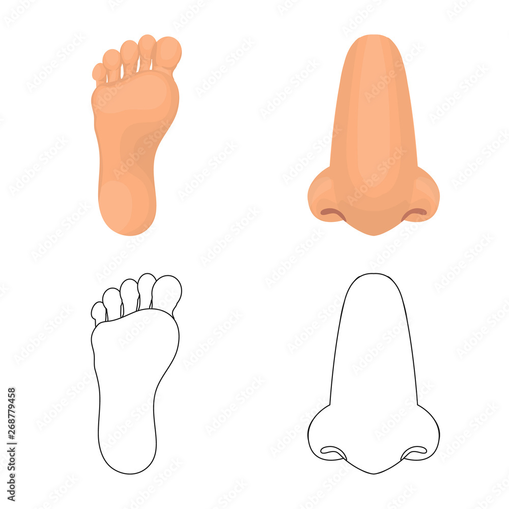 Vector illustration of body and part icon. Set of body and anatomy vector icon for stock.