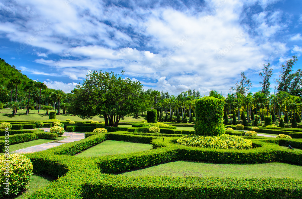 Scenic view of the park In the atmosphere of afternoon light