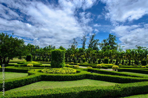 Scenic view of the park In the atmosphere of afternoon light