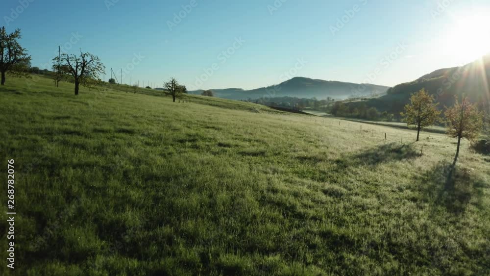 aerial shot of beautiful green field with morning dew during sunny day in the countryside of switzerland, peaceful relaxing drone shot aerial shot of beautiful green field with morning dew during sunny day in the countryside of switzerland, peaceful relaxing drone shot