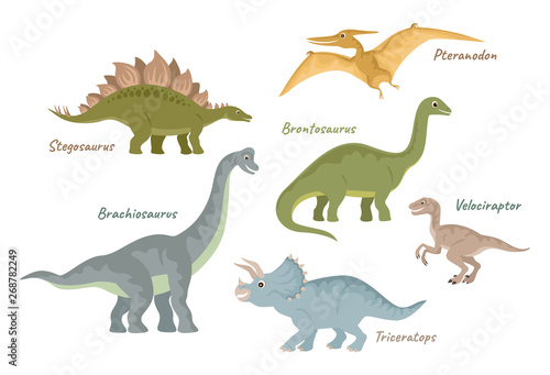 Collection of cute flat dinosaurs. Jurassic period creatures. Vector illustration isolated on white.  Stegosaurus, Pteranodon, Brontosaurus, Velociraptor, Brachiosaurus, Triceratops © Sunnydream