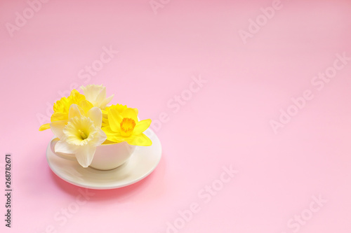 Beautiful fresh Narcissus in a cup on a pink background. Yellow flowers in a cup. Spring floral background.