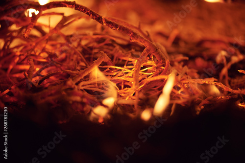 Incandescent embers background texture Charcoal fire - burning fire