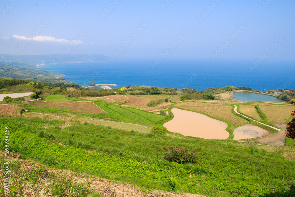 Fototapeta premium 棚田