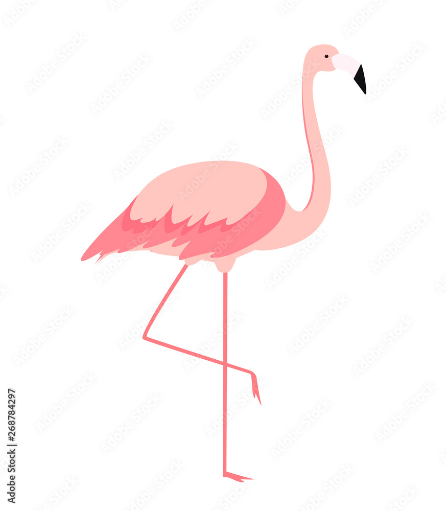 Fototapeta premium Colorful cartoon pink flamingo on one leg stands on white background. Vector Illustration