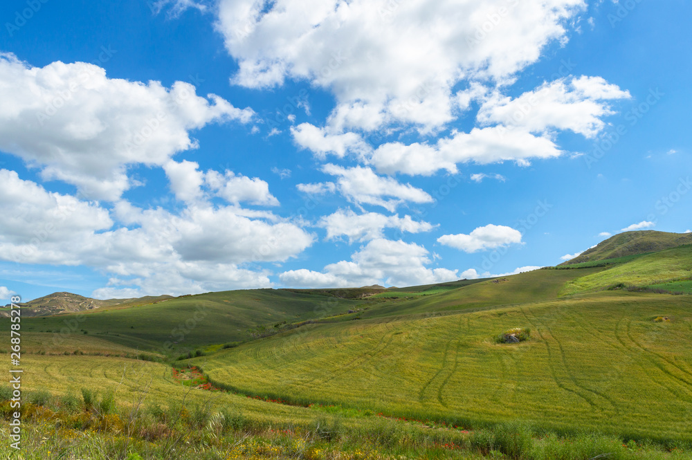 Green Sicilian Hills, Caltanissetta, Italy, Europe Green Sicilian Hills, Caltanissetta, Italy, Europe