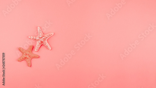 Two starfish on the coral background with copy space