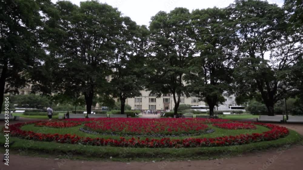 beautiful large flower bed with red flowers in the park beautiful large flower bed with red flowers in the park